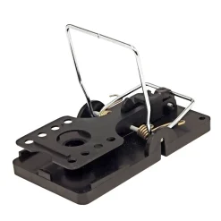 BONUS ROTTEFÆLDE 8X6,5X14 CM