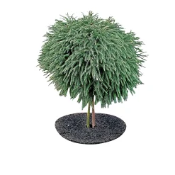 GARDEN LIFE GRÆSKANT Ø50XH7 CM