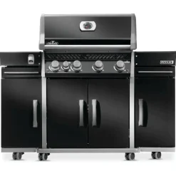 NAPOLEON ROGUE SORT KABINET