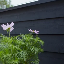 PLUS PROFILHEGN TRYKIMPRÆGNERET OG GRUNDMALET SORT 174 X 163 CM