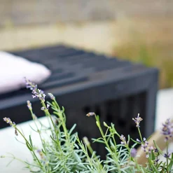 PLUS RUSTIK TRALLEBÆNK SORT 218 CM