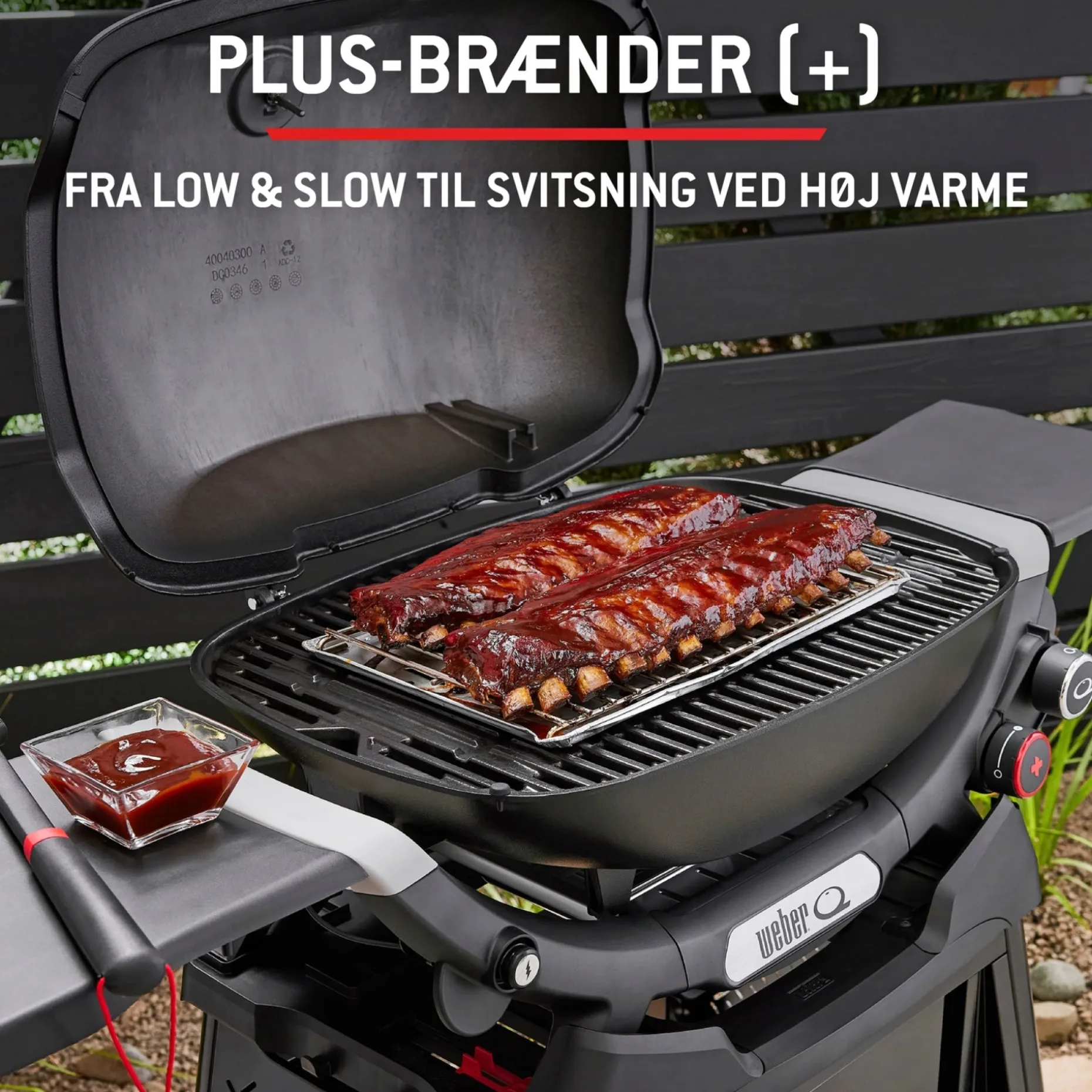 WEBER Q 3200N+ GASGRILL SORT